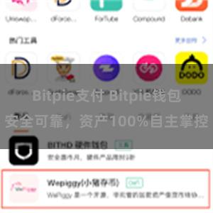 Bitpie支付 Bitpie钱包安全可靠，资产100%自主掌控