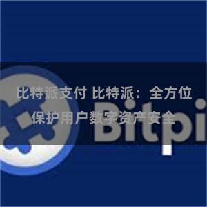 比特派支付 比特派:全方位保护用户数字资产安全