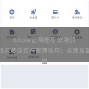 Bitpie官网推荐 比特派钱包多链资产管理技巧：全面攻略
