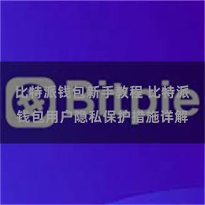 比特派钱包新手教程 比特派钱包用户隐私保护措施详解