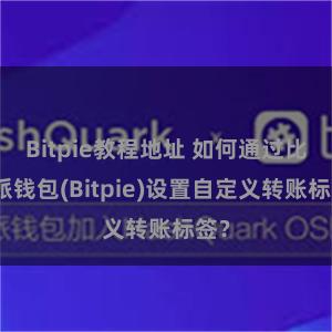 Bitpie教程地址 如何通过比特派钱包(Bitpie)设置自定义转账标签？