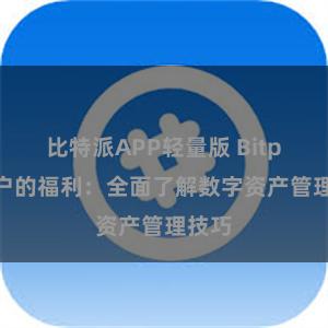 比特派APP轻量版 Bitpie用户的福利：全面了解数字资产管理技巧