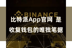 比特派App官网  是收复钱包的唯独笔据