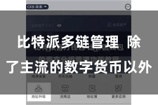 比特派多链管理  除了主流的数字货币以外