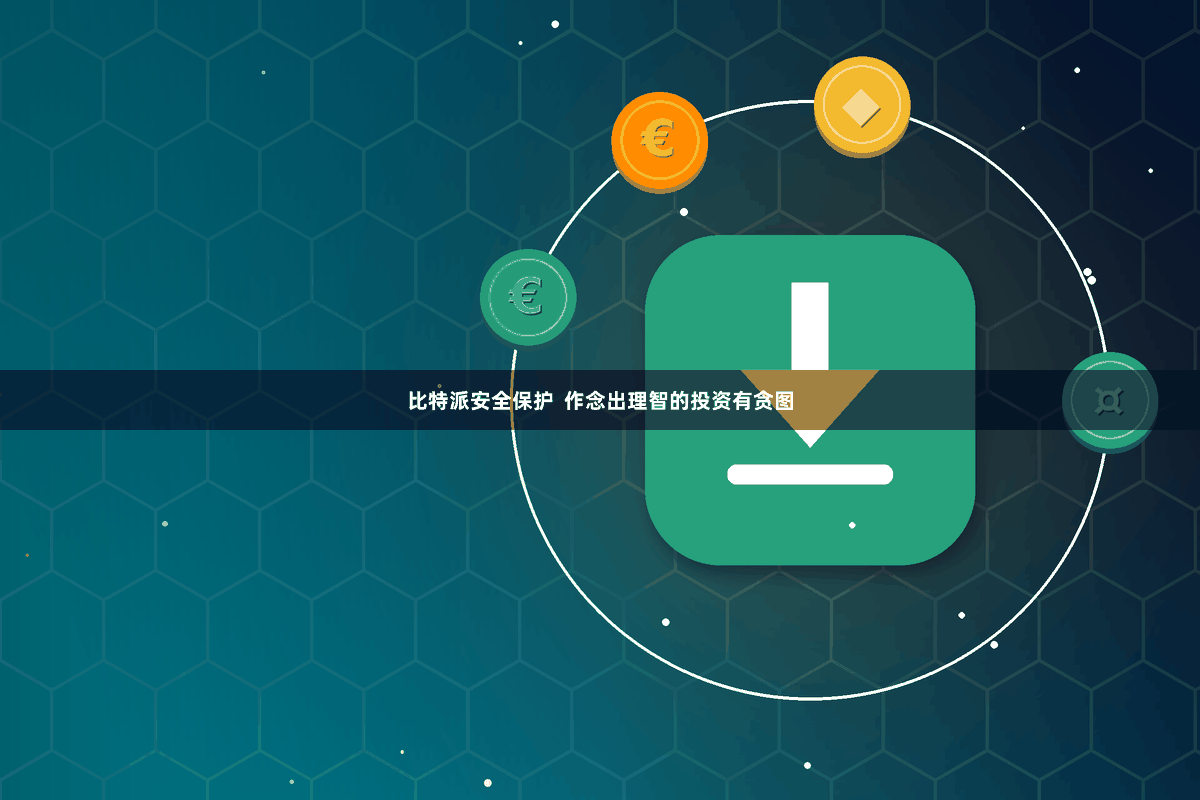 比特派安全保护  作念出理智的投资有贪图